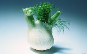 模型蒸馏